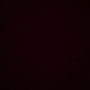 Meet your Posher, Colton